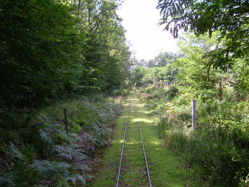 Szp plyaszakasz, egy rgi sposzloppal