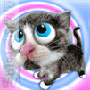 cicus :)