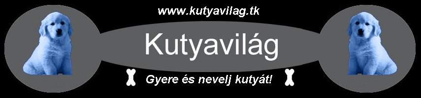 A kutyavilg honlap bannerja!