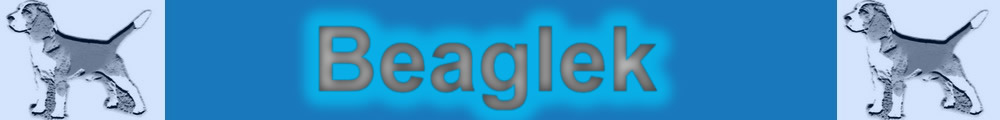 Beaglek weblap logja