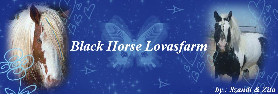 Black Horse Lovasfarm