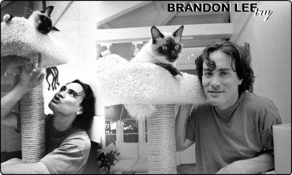 |Your #1 hungarian Brandon Lee FanSite|