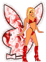 animci2