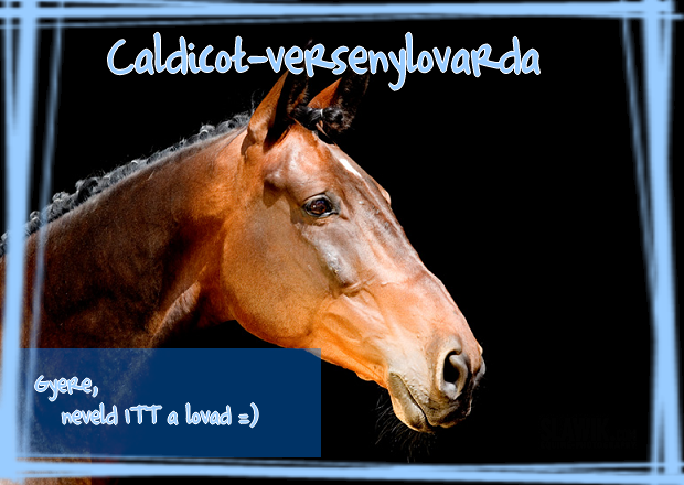 Caldicot-versenylovarda