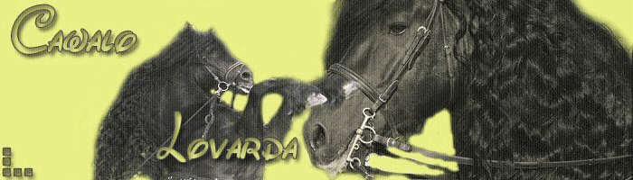 ۞ Cawalo Lovarda - Nevelj lovat, a legjobb helyen! ۞