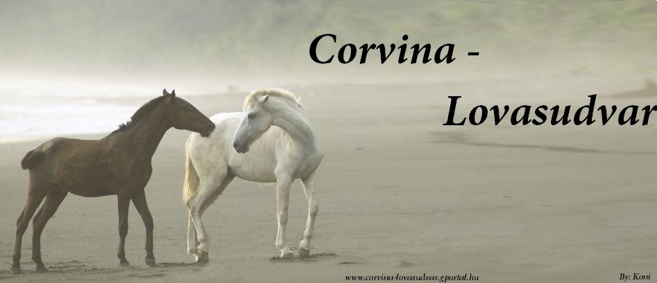 Corvina Lovasudvar