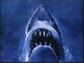 Sharky