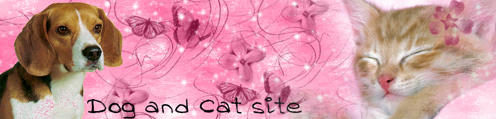 Dog and Cat site!