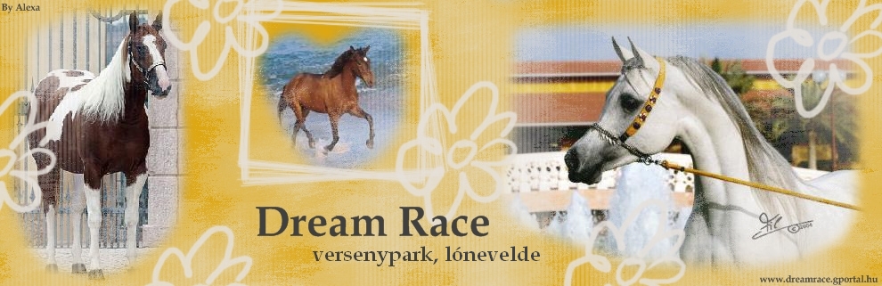 Dream Race versenypark,lnevelde