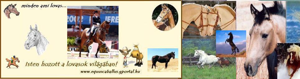 ♥dvzllek az igazi lovasok s lkedvelk portljn-Egy portl,ami a lovakrl szl!!!♥