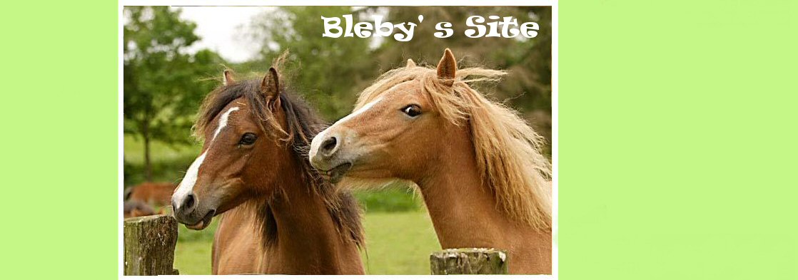  Bleby's Site