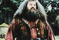 Rubeus Hagrid (Robbie Coltrane)