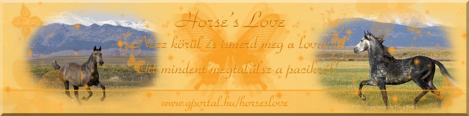 Horse's Love-Tudj meg mindent a lovakrl!