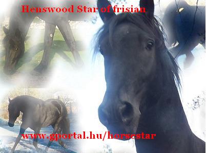 www.gportal.hu/horsestar