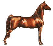 Barbie neveldje