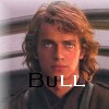 Bull