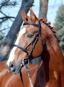 Roven  xx