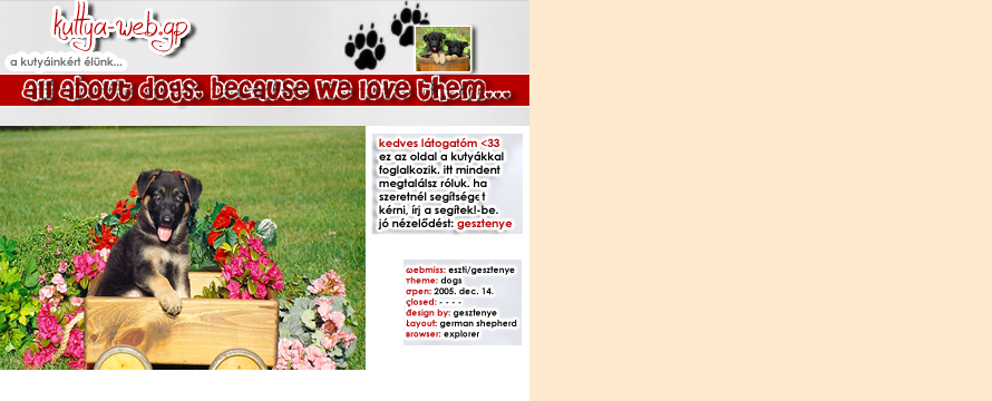 KUTTYA-WEB ||  all about our dogs ^^ // I. E.-BEN NZD AZ OLDALT