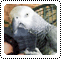 <FONT color=#d100db><b>Papagj-Afrikbl szerezte be azt az aranyos madarat amely jelenleg brad hzban lakik