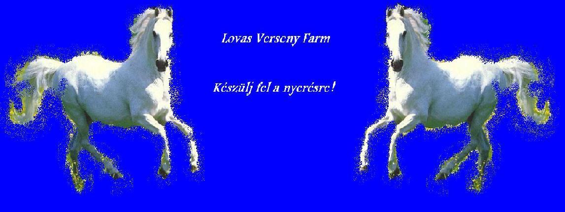                                        Lovas Verseny Farm