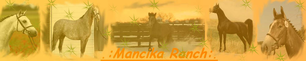 .:Mancika ranch:.