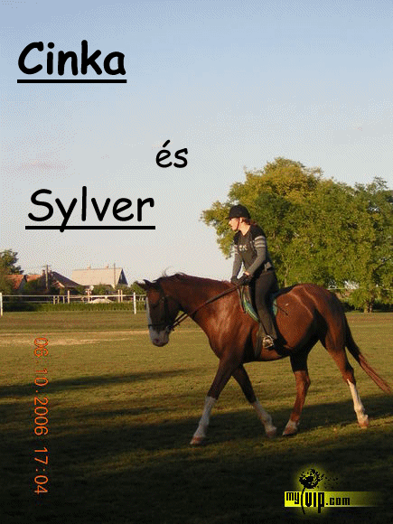 Cinka s Sylver