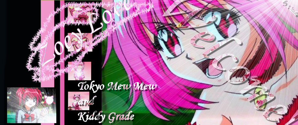 My dream...Tokyo Mew Mew and Kiddy Grade