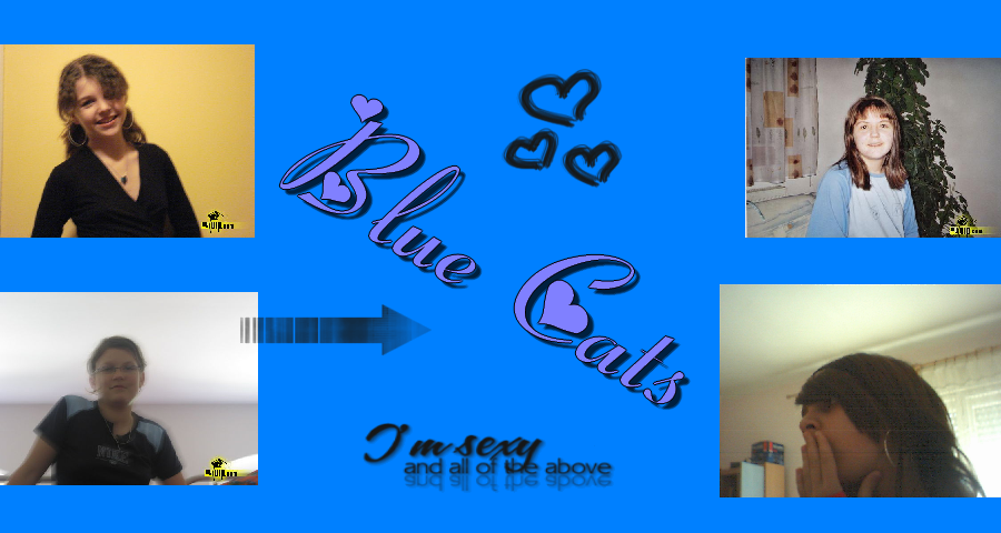 *..·`»Blue Cats«`·. .*