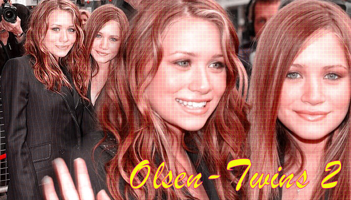 ~Olsen-Twins 2~