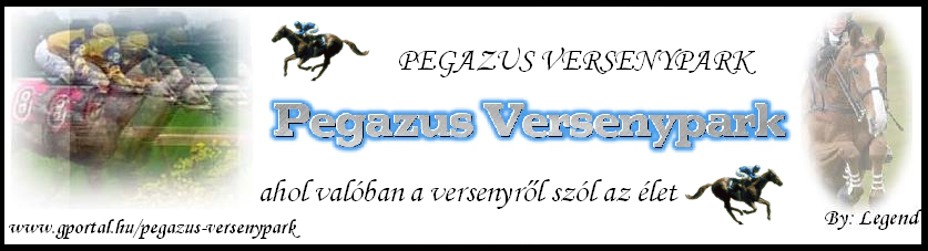 Pegazus Versenypark