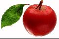 Alma 1kg (egy napra elg) 6€