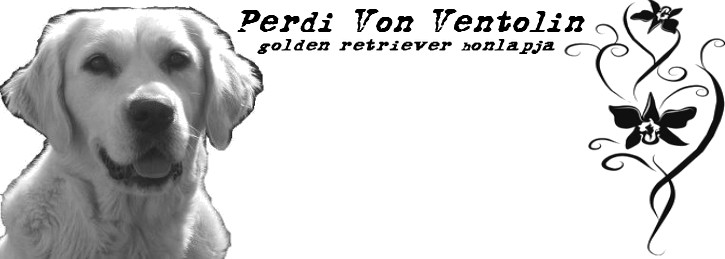 Perdi Von Ventolin honlapja