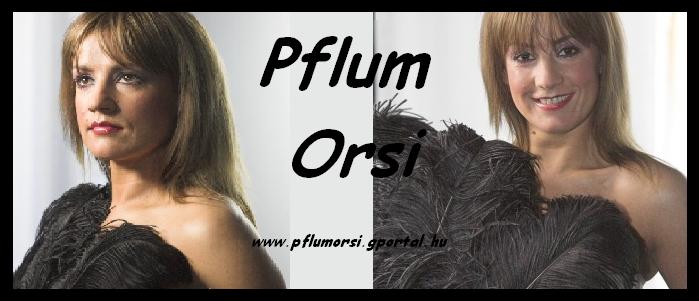 Pflum Orsi honlapja!