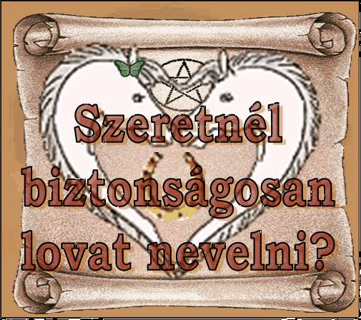 Kattincs csak ide!!!