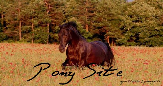 ..::Pony Site::..