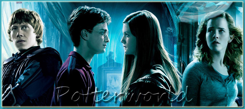 PotterWorld | Harry Potter Vilga