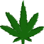 Vad-Kender-Marihuana-Nark-Kk-Mltifilter