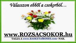 RZSACSOKOR......ROSARY.......BASKET OF ROSES.....BUNCH OF ROSES