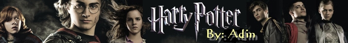 Harry Potter szerepjtk