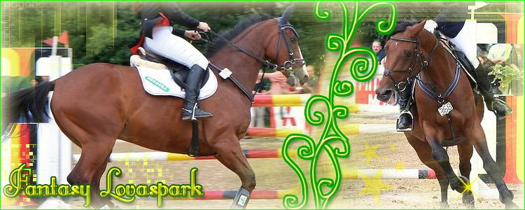 \Fantasy Lovaspark & Versenyistll/-->Neveld fel a lovad s versenyezz!