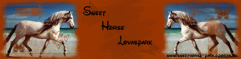 Sweet Horse Lovaspark 2006