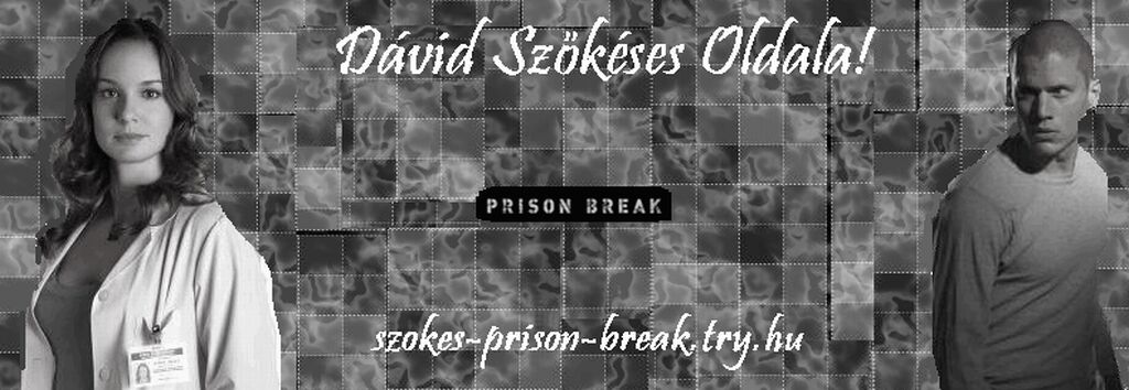 *Prison Break Fan Page*