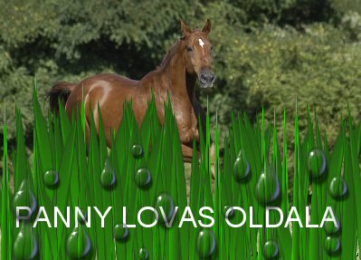 ****PANNY LOVAS OLDALA ****