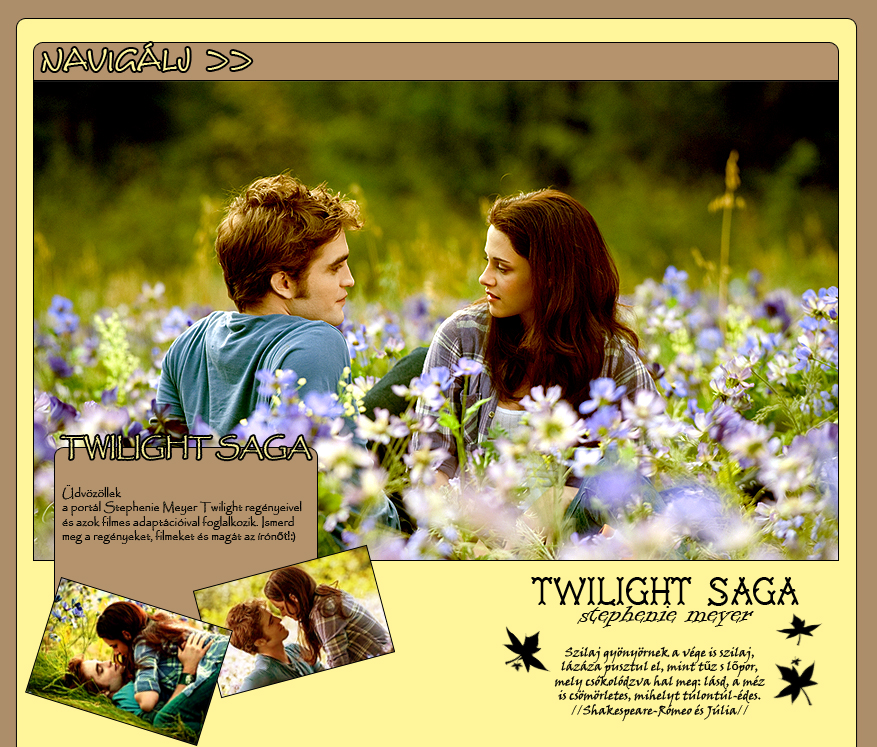Twilight saga- Stephenie Meyer