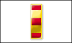 Zszls-Chief Warrant Officer