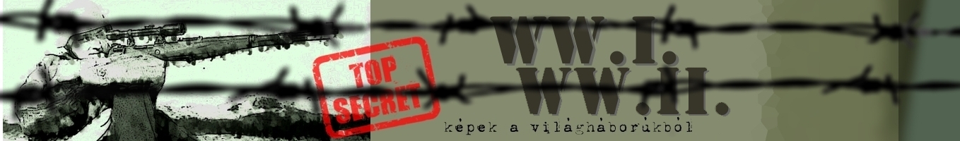 Kpek a vilghborkbl