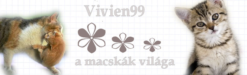 ♥♥-Vivien99-♥♥ a macskk vilga