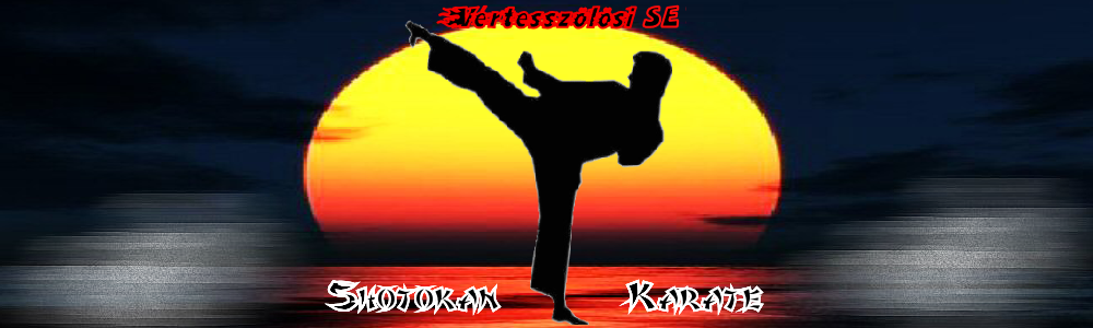 Vrtesszlsi Karate SE