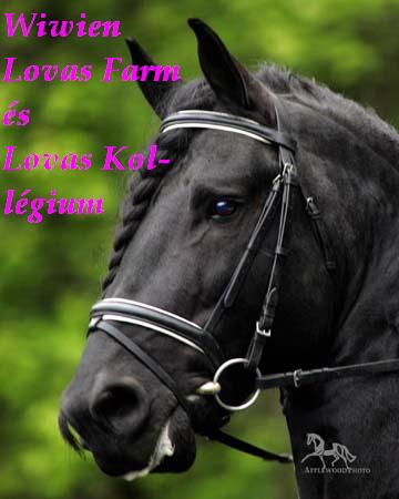 ♥ Wiwien Lovasfarm s Lovas Kollgium♥