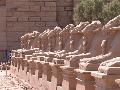 A kosfej szfinxsor II.Ramszesz idejbl val, valamikor 3 km hosszan kttte ssze a Karnak templomot a Luxori templommal
